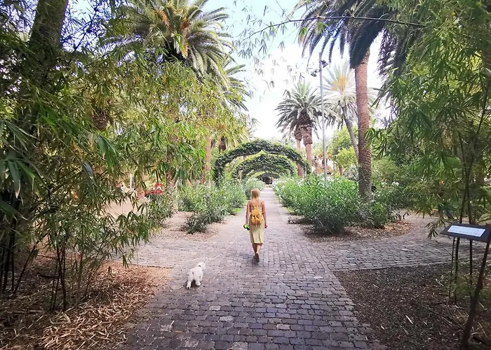 Daire Home2book Sea Front Teresitas 1 *