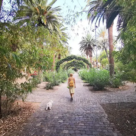 Apartamento Home2book Sea Front Teresitas 1 *